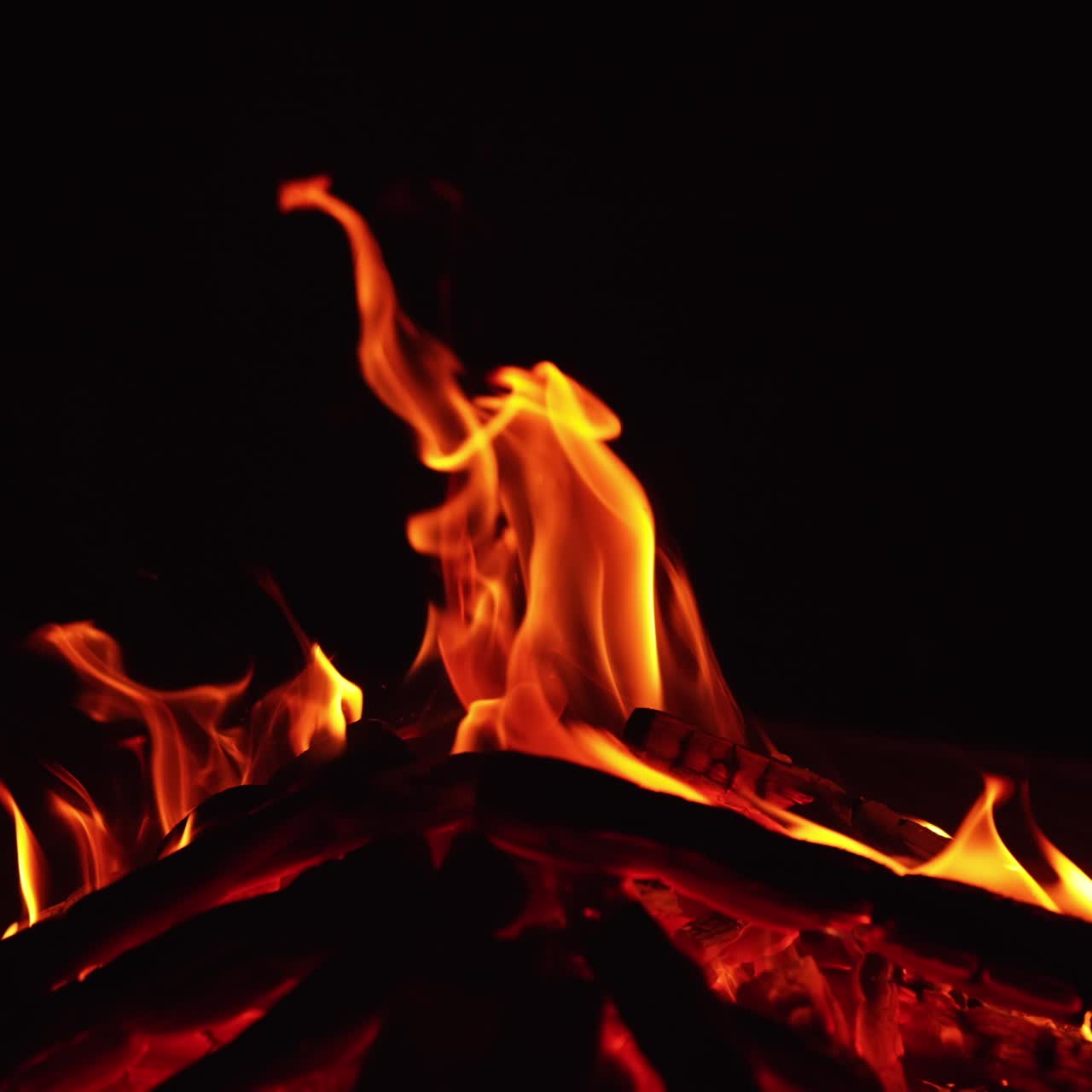 A pile of wood burn in the night. Cozy campfire burning in the darkness