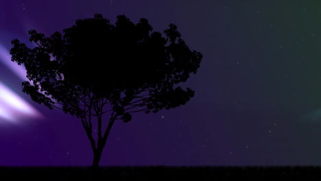 animation of tree at christmas over aurora