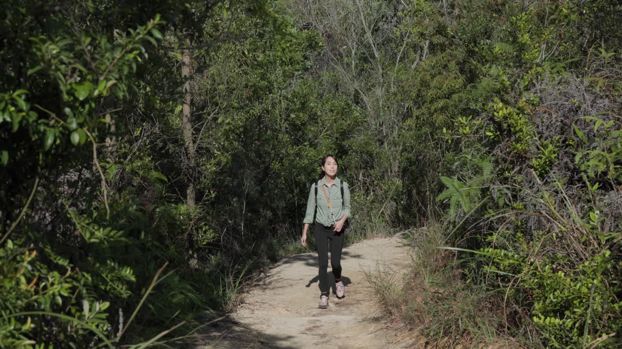 숲 한가운데의 길