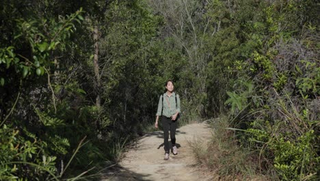 en el medio del camino del bosque