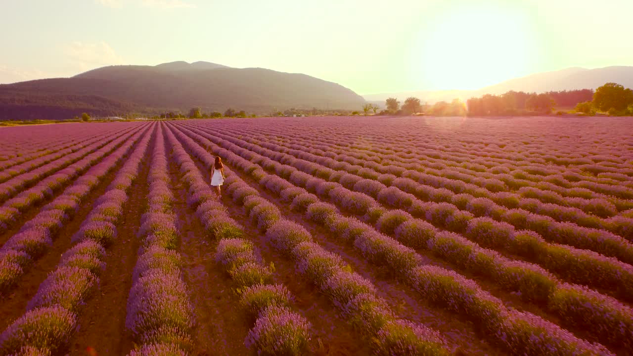 mujer caminando por un campo de lavanda al atardecer