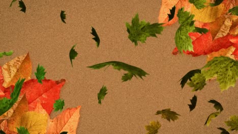 Animation-of-multiple-autumn-leaves-falling-on-brown-background