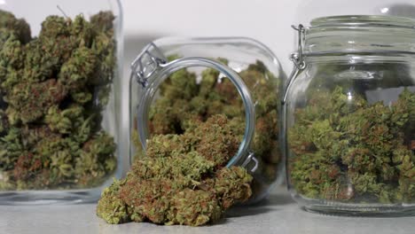 tiro de muñeca de flores de cannabis cosechadas en frascos frente a un fondo blanco