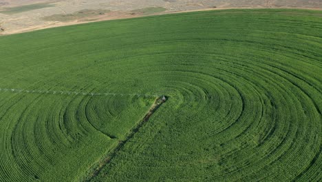 Innovative-Agriculture:-Center-Pivot-Irrigation-Nurturing-Crops-in-Cache-Creek,-British-Columbia,-Canada