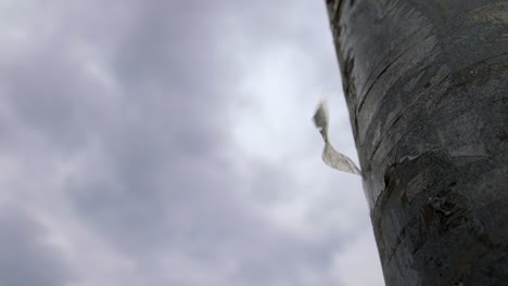 cinta transparente en un poste
