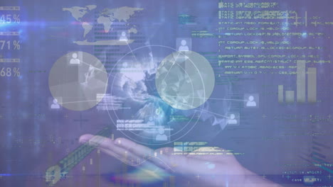 animación de la red de conexiones a través del procesamiento de datos