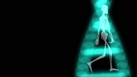 3d rendering of a skeleton