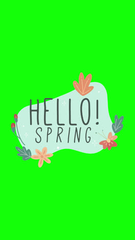 hola, diseño gráfico de primavera.