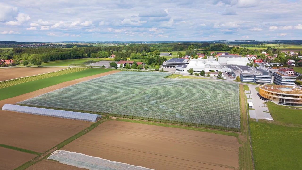 Vista aerea ravvicinata di campi di frutteti protetti coperti da reti antigrandine nella Germania rurale, evidenziando l'agricoltura moderna e i sistemi di protezione delle colture, UHD.