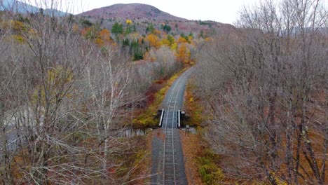 POV-De-Tren-Aéreo-A-Lo-Largo-Del-Ferrocarril-A-Través-De-Un-Colorido-Bosque-Otoñal