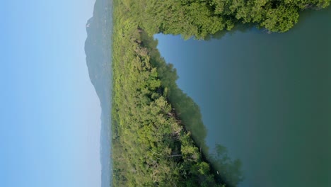 vertical shot rio munoz with tropical forest mirror reflection in puerto plata, dominican republic
