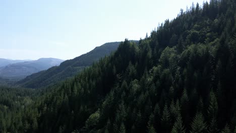 slowly rising and panning across evergreen forest covered mountain valley, aerial