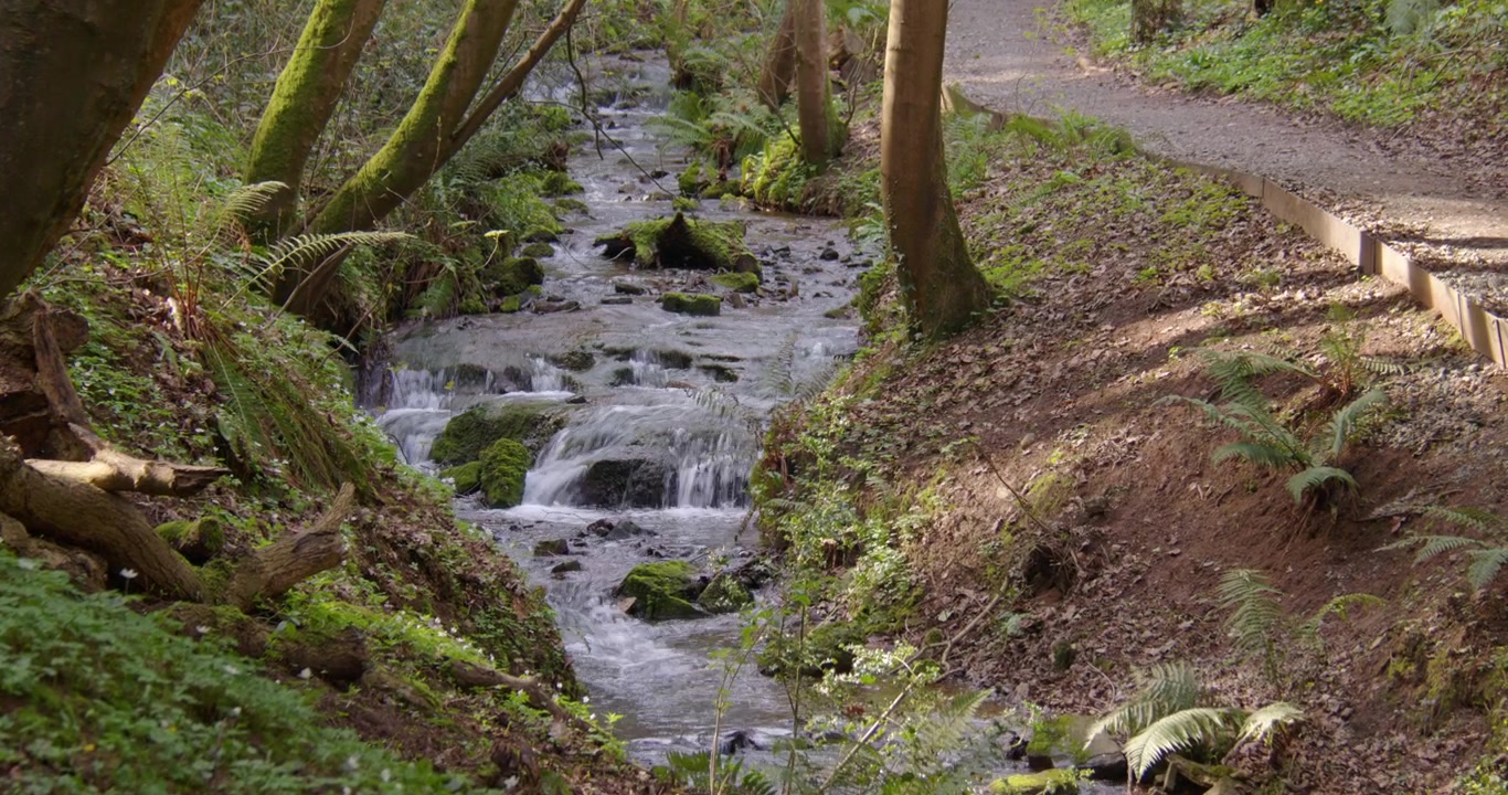 Wide zoom in shot Looking up the Ffynnon Dyfnog stream from st dyfnog’s well at Denbigh, Denbighshire