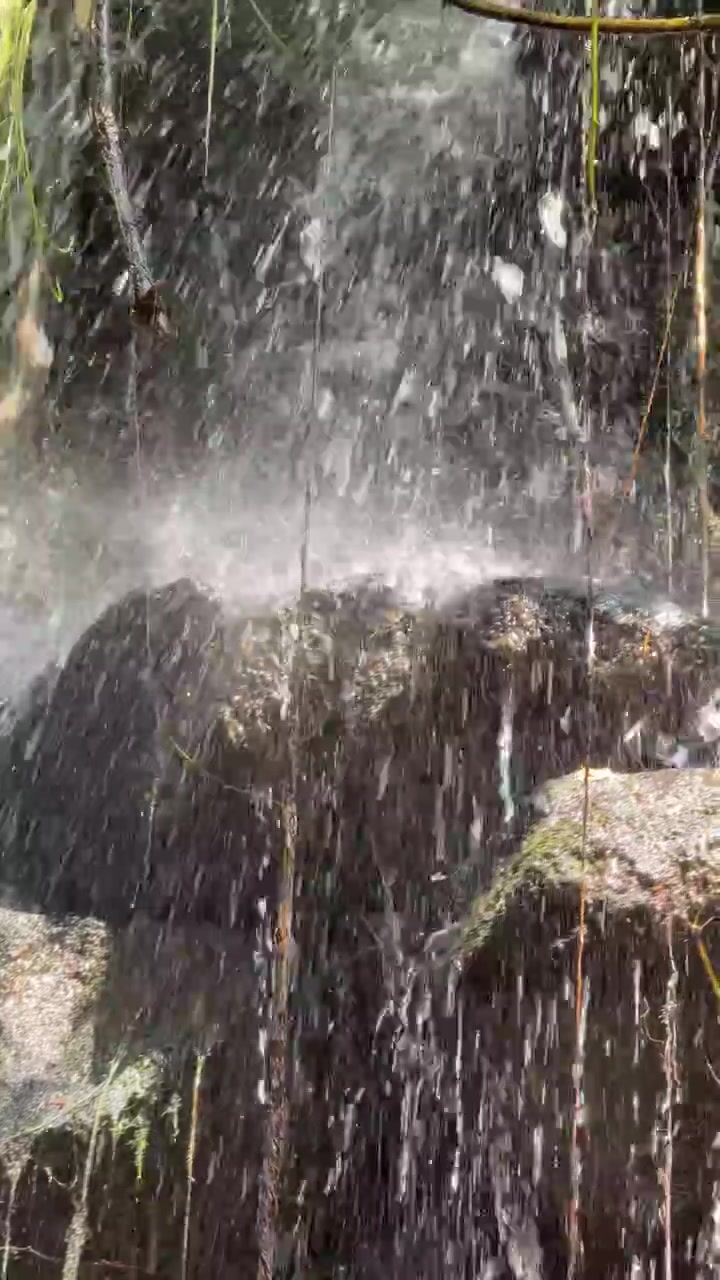 Close-up of Water Cascading Over Mossy Rocks in a Forest