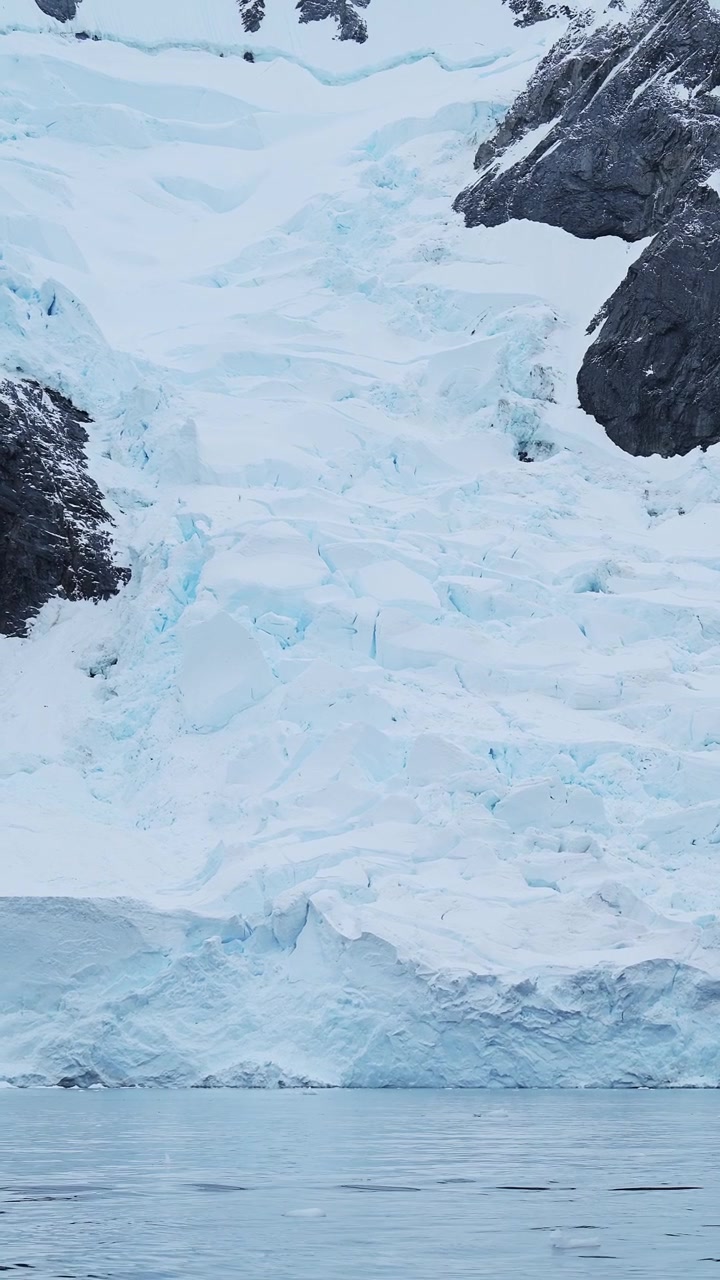 Glaciar y hielo en el paisaje antártico, naturaleza y paisaje de la Península Antártica con agua oceánica invernal y hielo marino en video vertical para redes sociales, Instagram Reels y Tiktok.