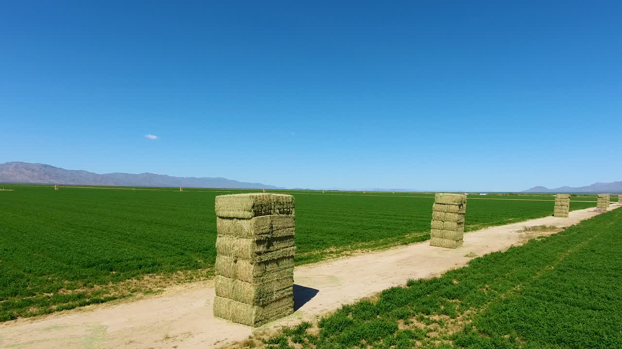 disparo de drones volando sobre un campo verde de cultivos en una granja con montones de heno
