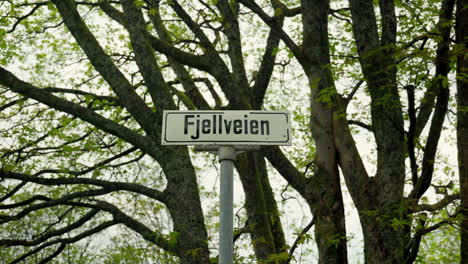 un letrero de la calle que dice fjellveien ubicado en sandviken en bergen, noruega