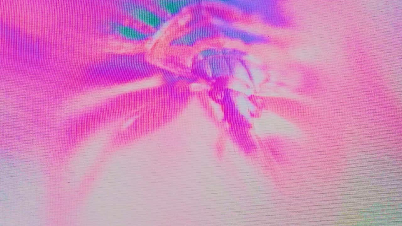 버그의 장애: 곤충 침입 왜곡