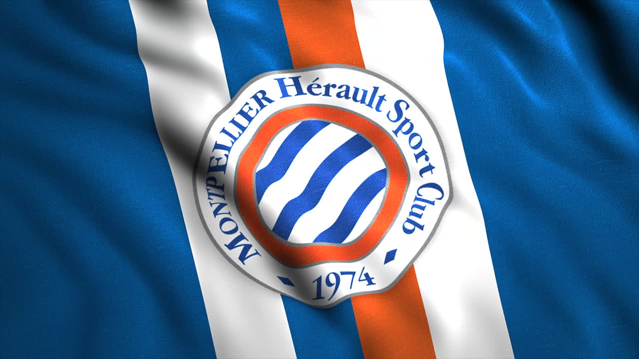 몽펠리에 (montpellier) 의 발