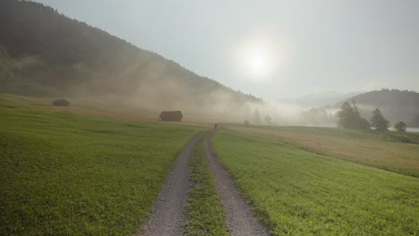 young fit woman running towards camera on countryside road in early sunrise with mist and sunshine, germany