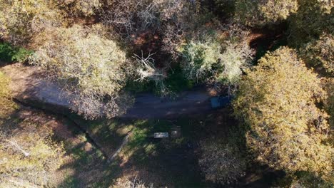 Vehículo-Todoterreno-Cruza-Un-Bosque-En-Un-Camino-De-Tierra,-Drone-De-Arriba-Hacia-Abajo