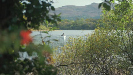 Fisherman-fishing-from-lake-boat-surrounded-by-vibrant-green-lush-wilderness