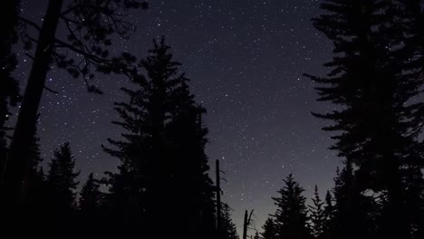 Lapso-De-Tiempo-Por-La-Noche-Moviéndose-De-Izquierda-A-Derecha-Mostrando-Un-Fondo-Estrellado-Con-Grandes-Siluetas-De-árboles-En-Primer-Plano