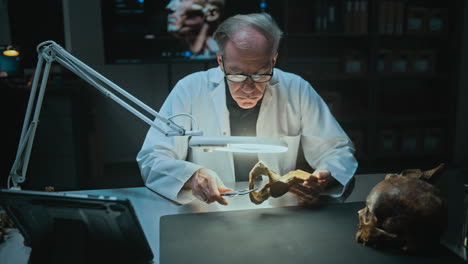 paleoanthropologist examining a fossil skull and bone fragment in a laboratory