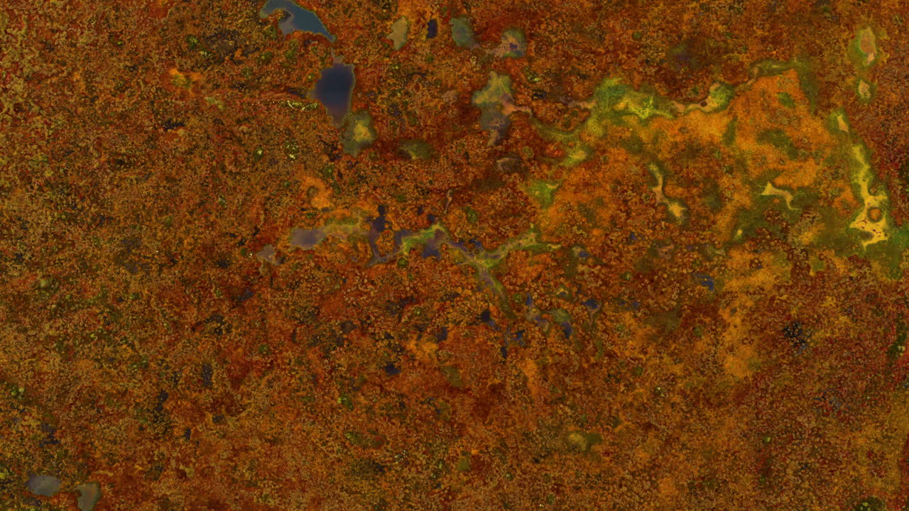 Birdseye aerial a above vibrant, fall colored marshlands, overcast day in Finland