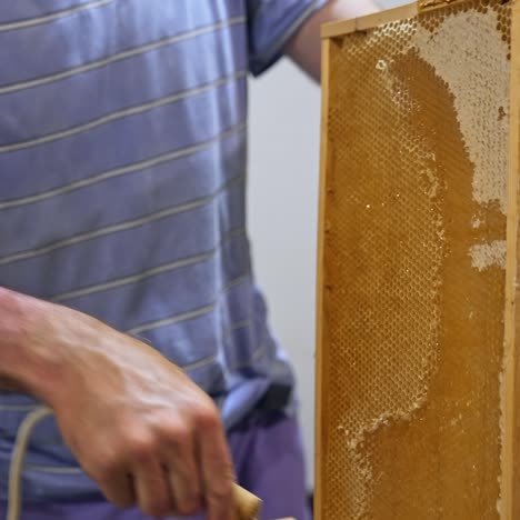 Getting Honey From Natural Honeycomb. Close up of beekeeper gets honeycomb from the hive
