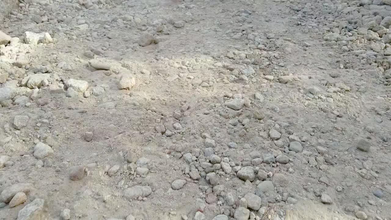 Mountain and Forest Landscape in Autumn