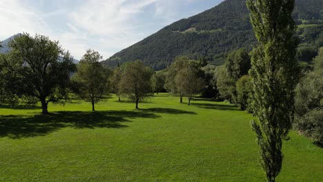 Sanfter,-Cremiger-Flug-über-Grünes-Feld,-Ackerland,-Landwirtschaft,-Grasland-In-Europa.-Die-Menschen-Vor-Ort-Bauen-Vegetation-An,-Kräuter-Für-Viehzucht-Und-Landschaftsgestaltung,-Architektonische-Öko-Gestaltung,-Baumhügel,-Schweiz