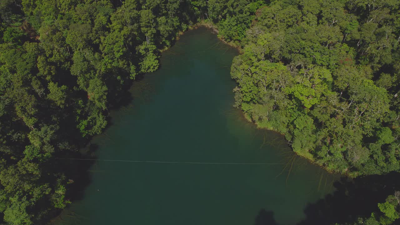 vista de pájaro sobre el lago eacham con una exuberante vegetación en la meseta de atherton, queensland, australia - disparo de drones