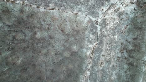 overhead shot of dried land during winter season, warren, ohio, usa