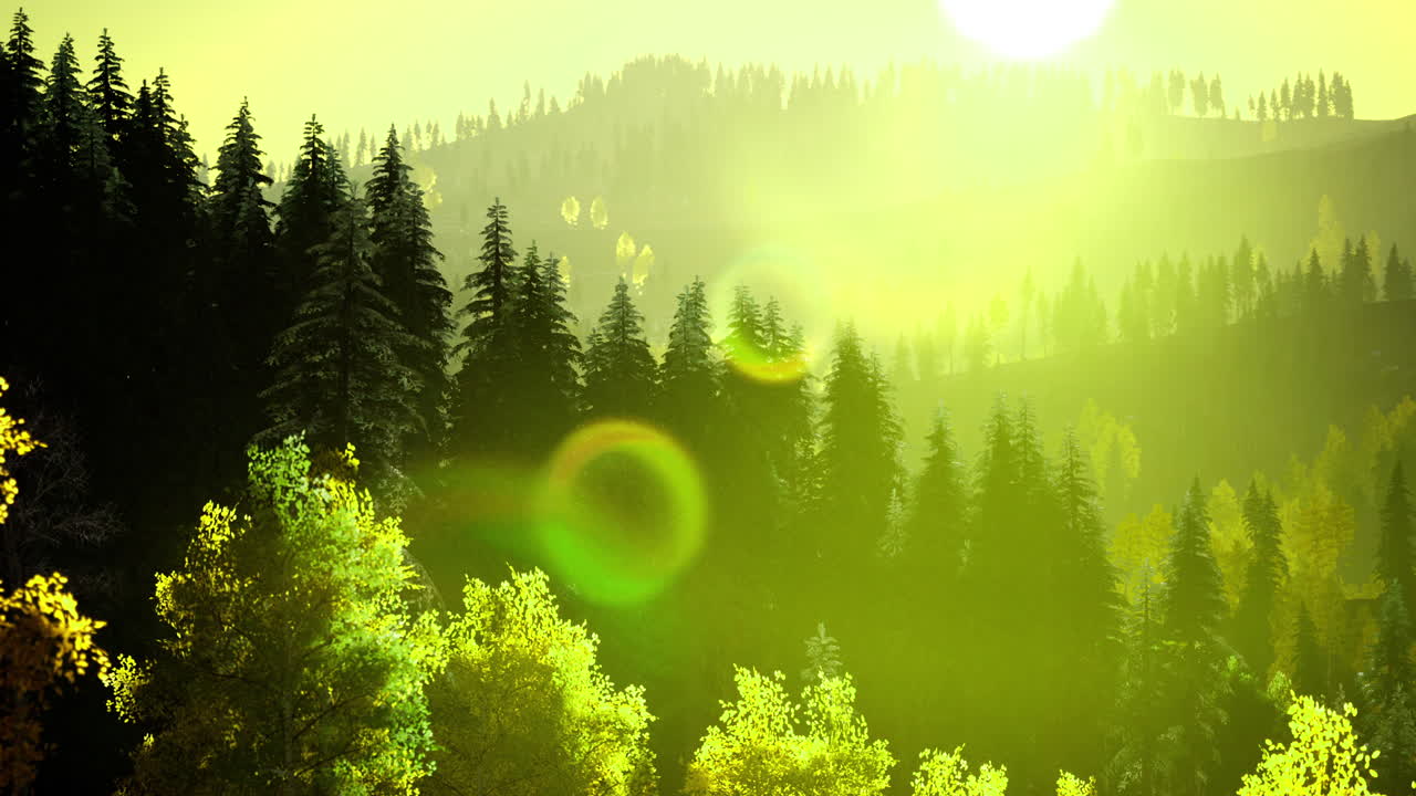 amanecer en un bosque de montaña