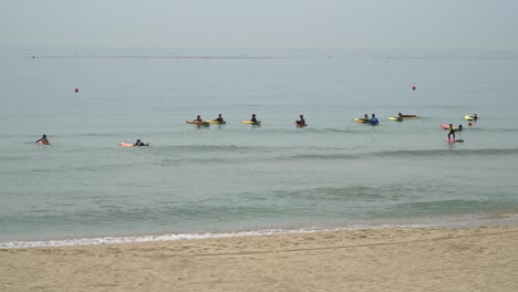 tourists paddling with their surfboards at songjeong beach in busan, south korea