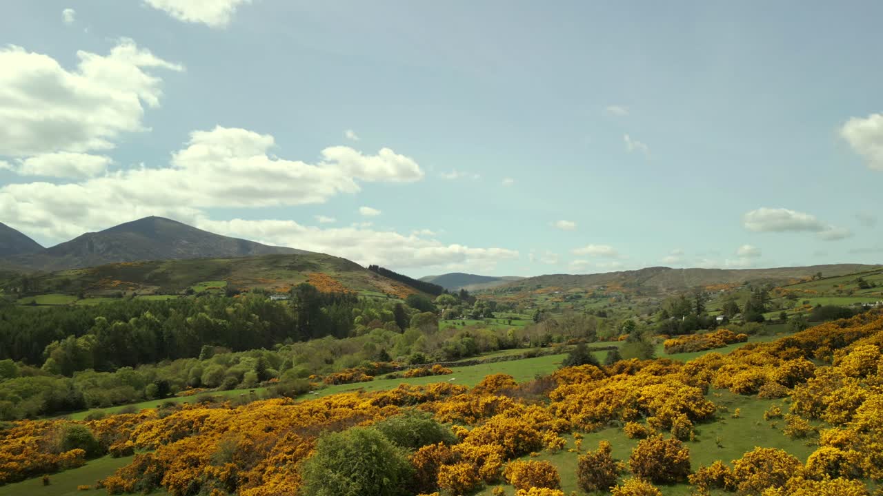 Low, forward moving aerial video of the Mourne Mountains and Slieve Donard in Newcastle, County Down in Northern Ireland, UK on a bright and sunny day. Filmed in 4K, 60fps and with Rec709 Color.