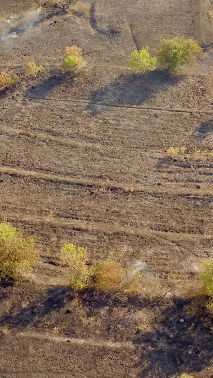 Pemandangan Drone Api di Ladang. Pemandangan Udara Lapangan Rumput Kering yang Terbakar