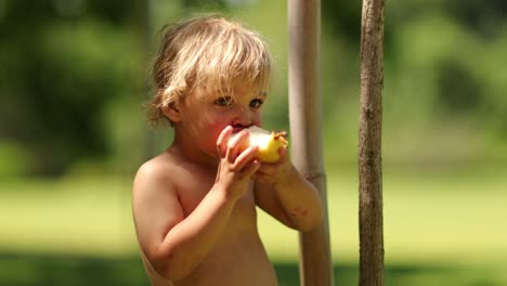 candid portrait of infant toddler boy eating pear fruit outside in the park in 4k clip resolution