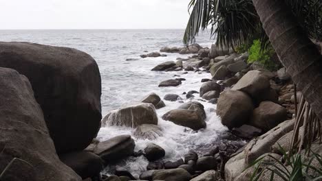 rocky tropical coastline with crashing waves