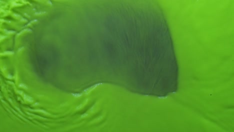 abstract waves of green neon paint on a blue background. view from above.