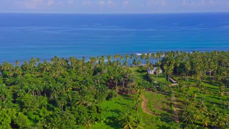 Turquoise-Sea-Waters-And-Lush-Vegetation-At-Coson-Beach-In-Dominican-Republic---aerial-drone-shot