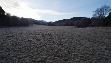 無人機拍攝的近距離飛行, 在冬季的cairngorms國家公園面臨雪覆蓋的山脈的rothiemurchus莊園的<unk>樹和松樹森林的冰<unk>田野上空上升