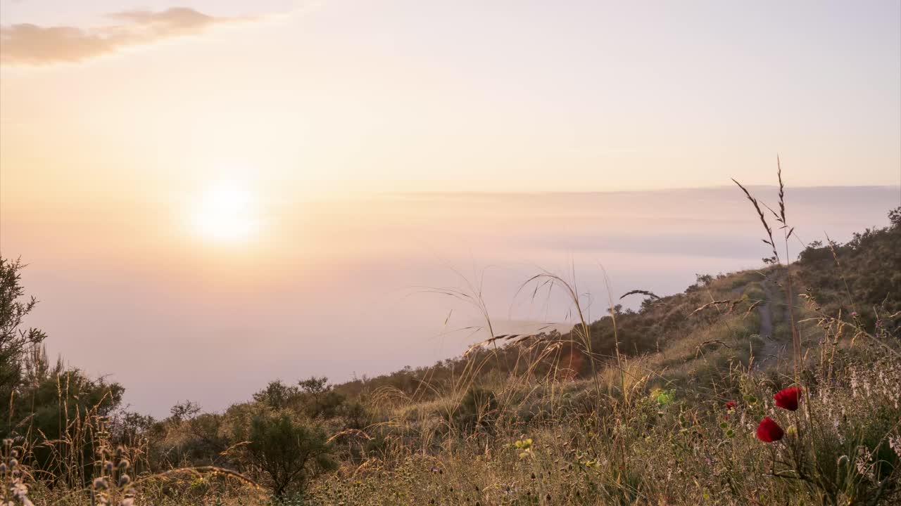 언덕 지형 의 안개 와 구름 이 가득 한 풍경