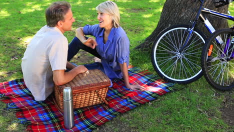 happy couple having a picnic in the park