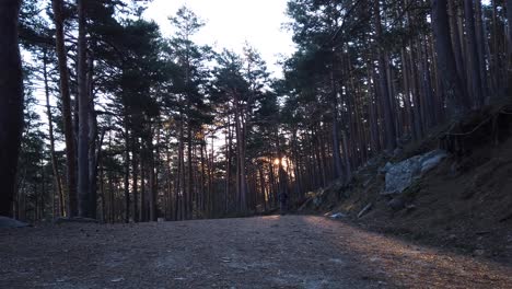 Static-shot-of-a-man-going-up-a-mountain-path-at-sunrise