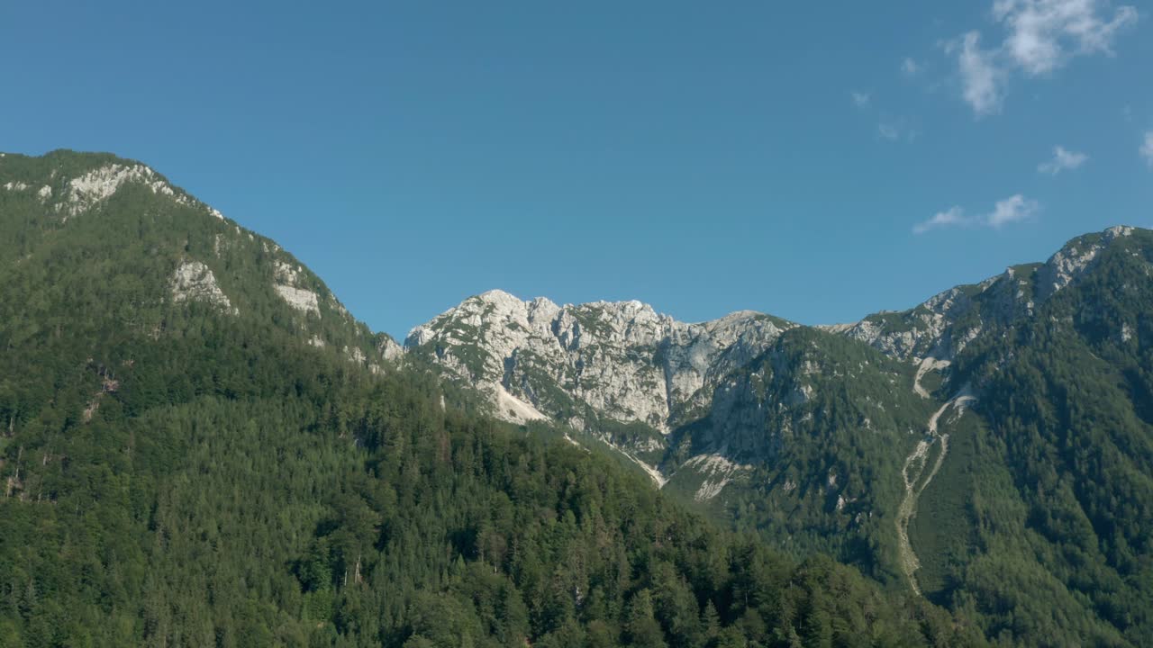 Fliegt über den wunderschönen, üppigen, grünen Wald des Zell Pfarre Tals in Österreich mit den felsigen weißen Bergen in der Ferne – Luftaufnahme.