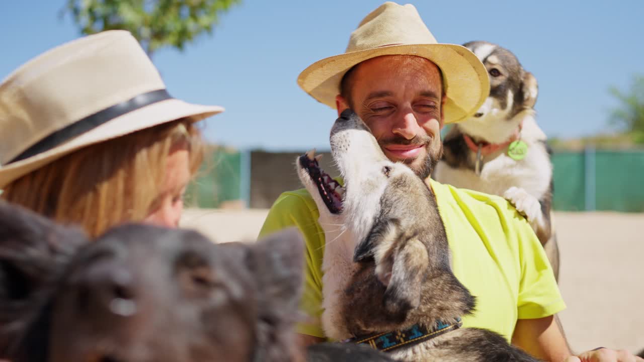 Homem e mulher felizes com cachorros brincalhões em um abrigo
