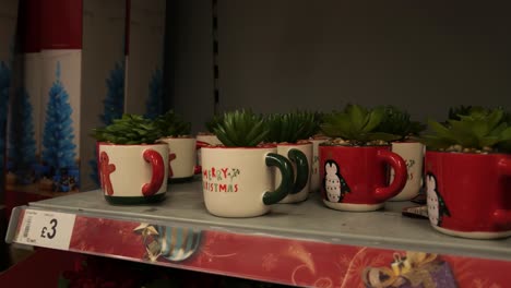 individual festive season gift mug plants on retail department store shelf dolly right