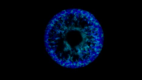 primer plano de una pupila azul del ojo, fuego del iris animación en bucle 3d